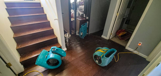 Best 24-hour water damage restoration  in Jersey City, NJ