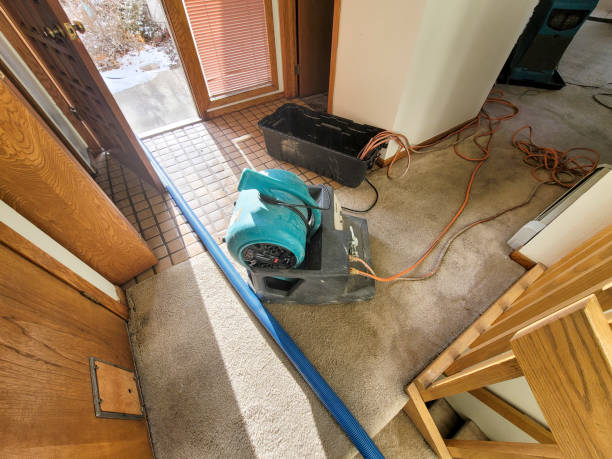 Best Residential water damage restoration  in Jersey City, NJ