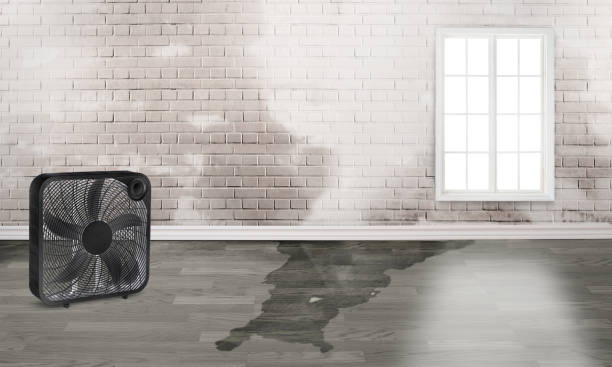 Trusted Jersey City, NJ Water damage restoration Experts