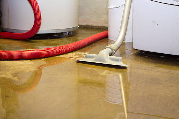 Best Sewage cleanup and water damage restoration  in Jersey City, NJ