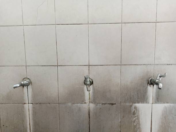 Best 24/7 water damage repair  in Jersey City, NJ