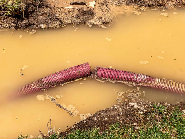 Best Carpet water damage restoration  in Jersey City, NJ
