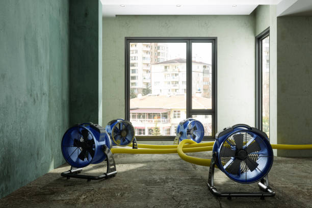  Jersey City, NJ Water damage restoration Pros