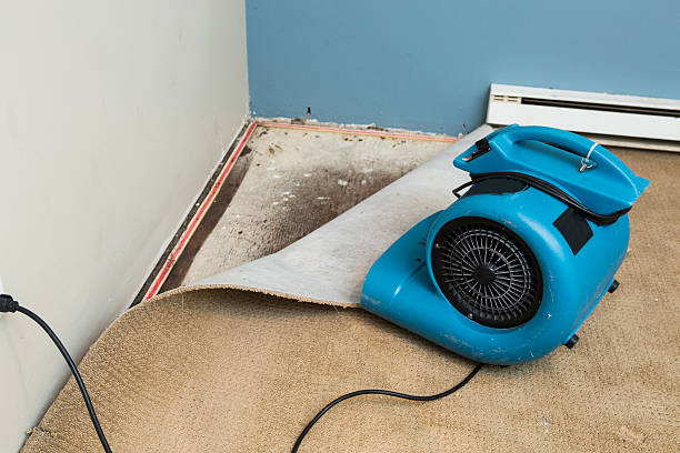 Best Flood damage cleanup  in Jersey City, NJ